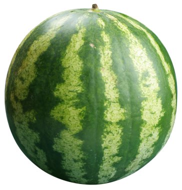 Watermelon clipart