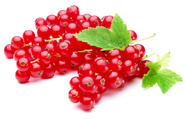 Bunch of red currants — Stock Photo, Image