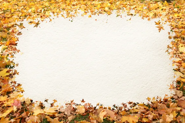 Őszi levelek keret — Stock Fotó