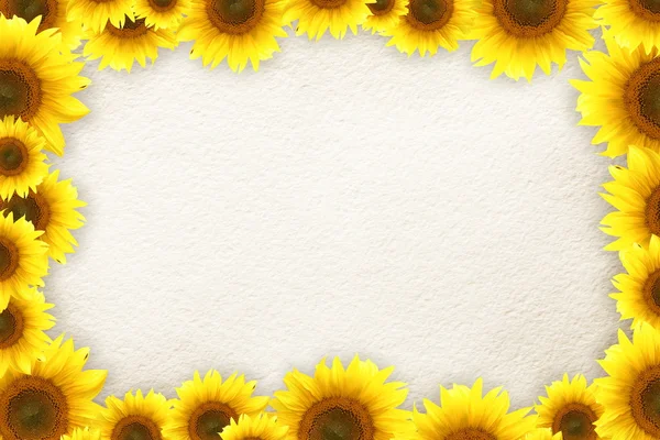 Zonnebloemen frame voor uw tekst — Stockfoto