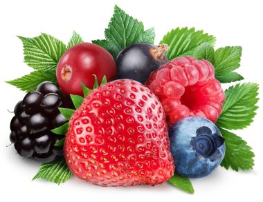 Collection of wild berries with leaves clipart