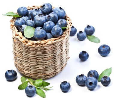 Blueberries in a basket clipart