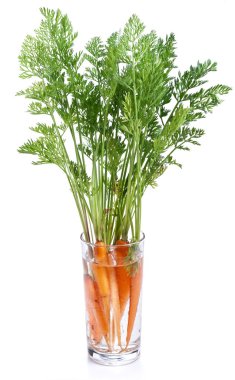 Carrots with leaves standing in a glass of water. clipart