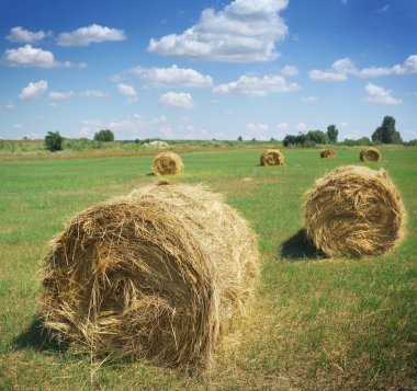 Haystacks on the field clipart