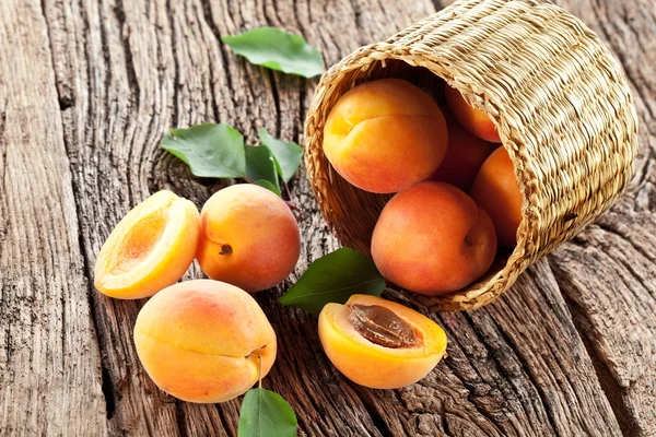 Apricots with leaves — Stock Photo, Image