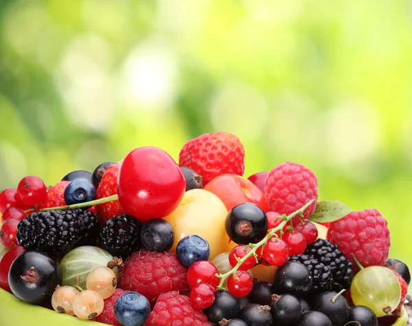 Variety of berries — Stock Photo, Image