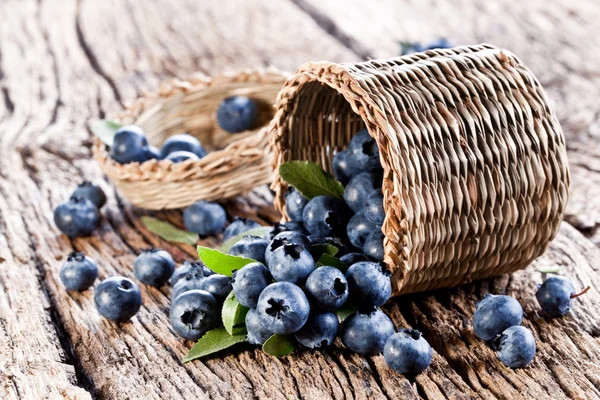 stock image Blueberries have dropped from the basket