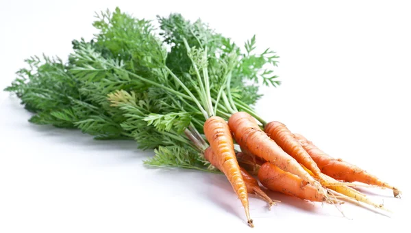 Karotten mit Blättern — Stockfoto