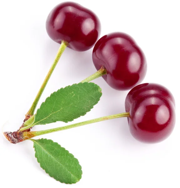 Cherries with leaves on a white background. — Stock Photo, Image