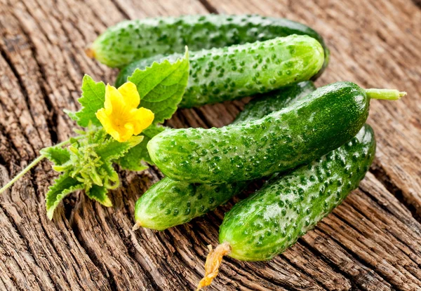 Cucumbers with leaves — Stock Photo, Image