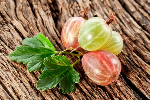 Gooseberries with leaves — Stock Photo, Image