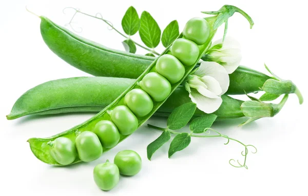 Pea fruit with green leaf — Stock Photo, Image