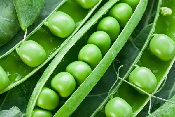 葉の背景に緑色のエンドウ豆の鞘. — ストック写真