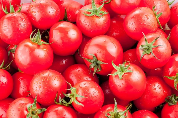 Multitude of ripe tomatoes — Stock Photo, Image