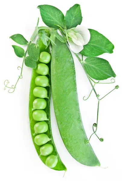 Strąki zielonego groszku z liści — Zdjęcie stockowe