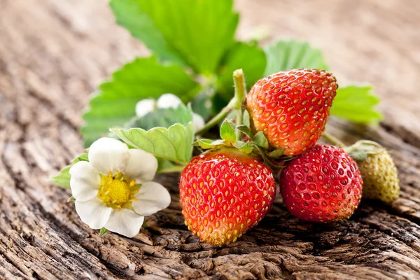Φράουλες με φύλλα — Φωτογραφία Αρχείου