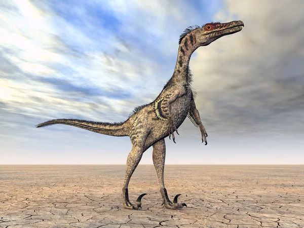 Velociraptor — Zdjęcie stockowe