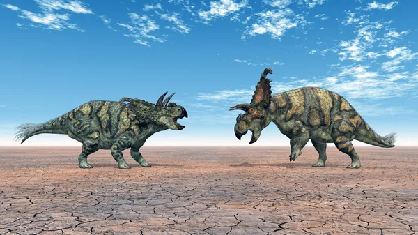 Albertaceratops — Stok fotoğraf