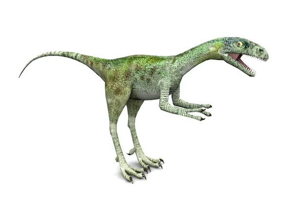 Compsognathus — Stock Fotó