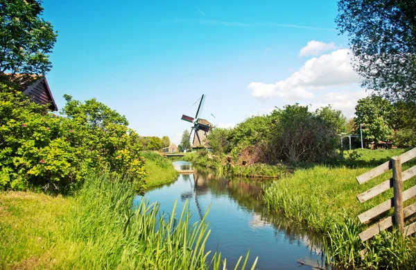 Typical dutch windmill — Stock Photo, Image