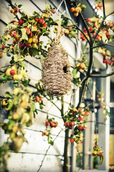 秋の鳥ボックス — ストック写真