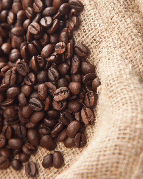 stock image Coffee beans