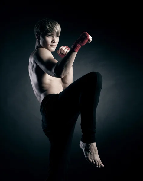 Mladý boxer Boxer na studio — Stock fotografie