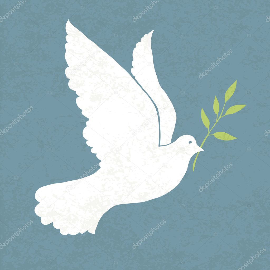 Dove with olive branch. Vector illustration, EPS 10