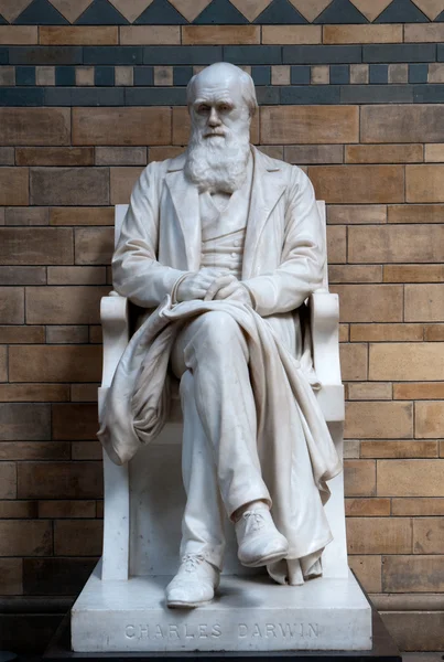 Charles Darwin Statue — Stock Photo, Image