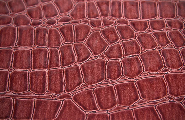 La textura de la piel de la serpiente — Foto de Stock