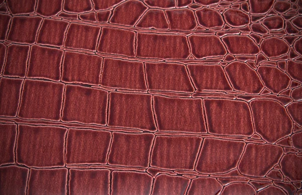 Textura kůže z hada Stock Snímky