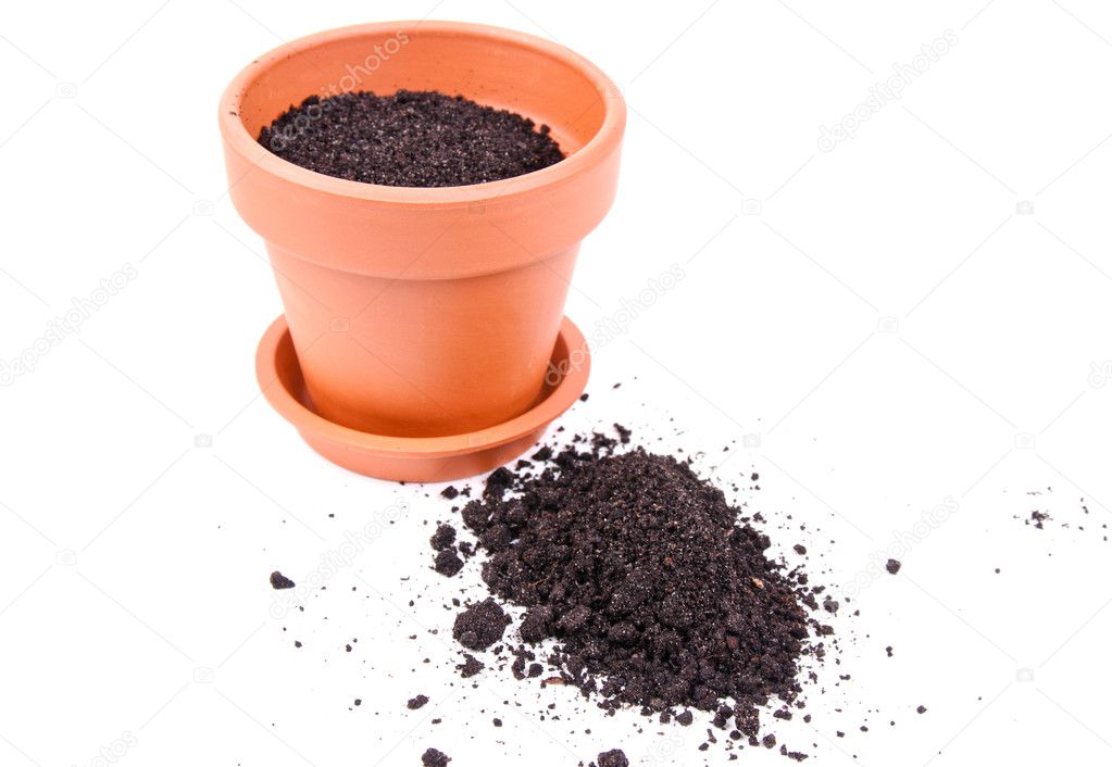 Ceramic pot with soil