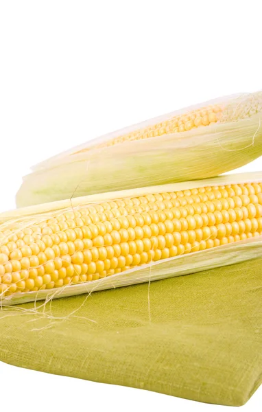 Maïs op een witte achtergrond — Stockfoto