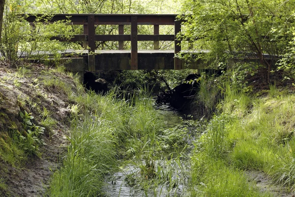 Ponte pedestre sobre um riacho — Fotografia de Stock