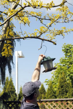 Taking Down Bird Feeder clipart