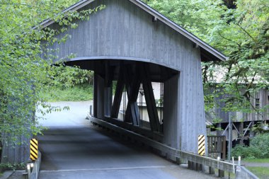 Old Bridge Over Cedar Creek clipart
