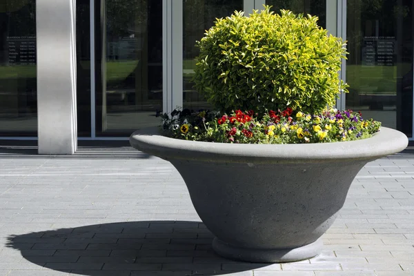Plantador de flores de concreto — Fotografia de Stock