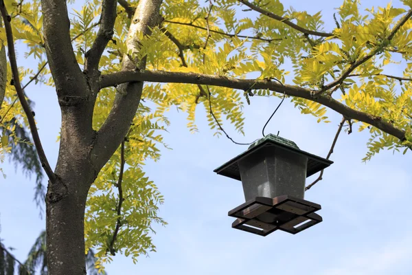 Alimentador de pássaros em uma árvore — Fotografia de Stock