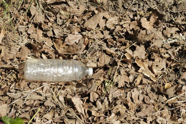Botella de agua desechada — Foto de Stock