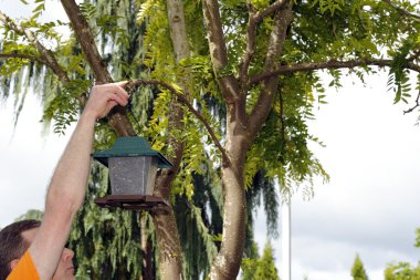 Hanging up a Bird Feeder clipart