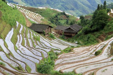 Longsheng Rice Terraces; China clipart