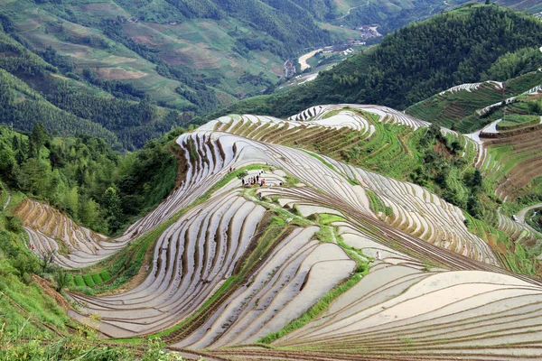 Contourploegen rijst terrassen; China — Stockfoto