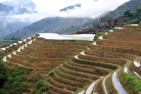 Contourploegen rijst terrassen; China — Stockfoto