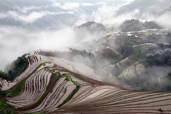 Longsheng rýžové terasy, Chiano — Stock fotografie