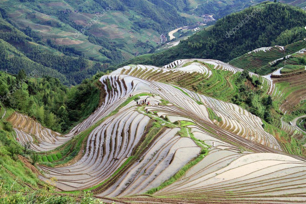 Longsheng Rice Terraces; China Stock Photo by ©shanin 11913835