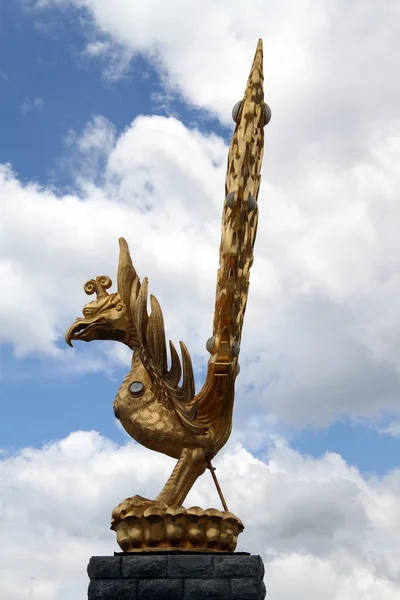 Garuda ptaków — Zdjęcie stockowe