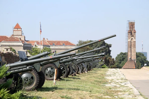 Stock image Old guns in Belgrade