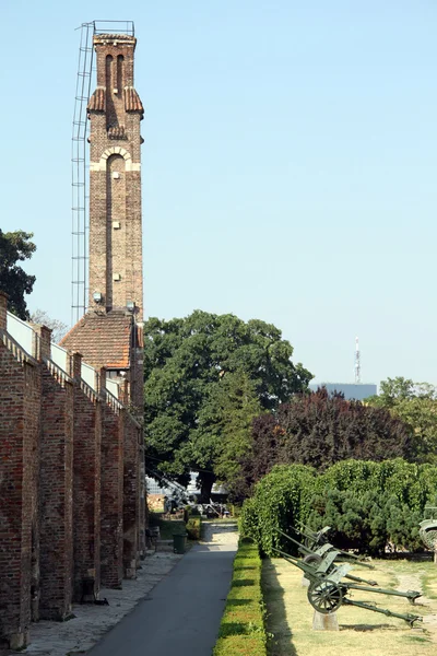 타워 및 총 — 스톡 사진
