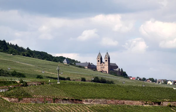 Ruedesheim Eibingen Abbey and vineyards — Stock Photo, Image