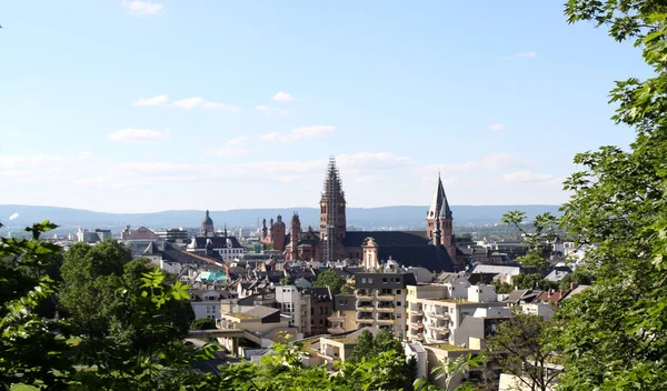 A vista sobre Mainz — Fotografia de Stock